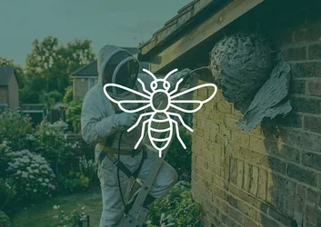 Spécialiste en combinaison de protection détruisant un nid de guêpes sous un toit