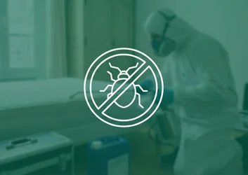 Thumbnail punaises de lit : icône insecte barré blanc sur fond vert chambre