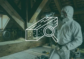 Applicateur TP8 en combinaison et masque A2P3 inspectant une charpente ancienne avec lampe, vermoulure visible sur la panne