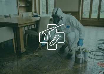 Traitement professionnel lyctus brun sur parquet de chêne bâtiment